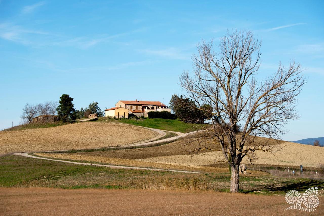 Poggio Alla Pietra 26 Porrona Exteriör bild