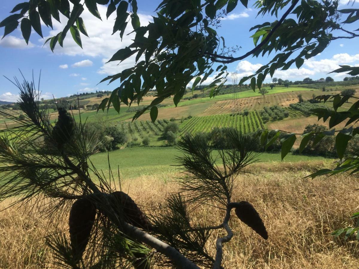 Poggio Alla Pietra 26 Porrona Exteriör bild