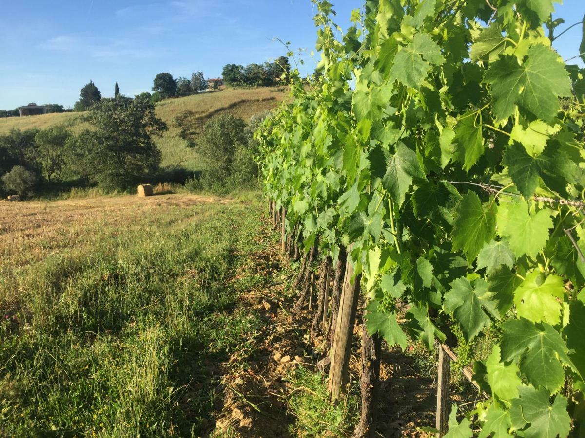 Poggio Alla Pietra 26 Porrona Exteriör bild