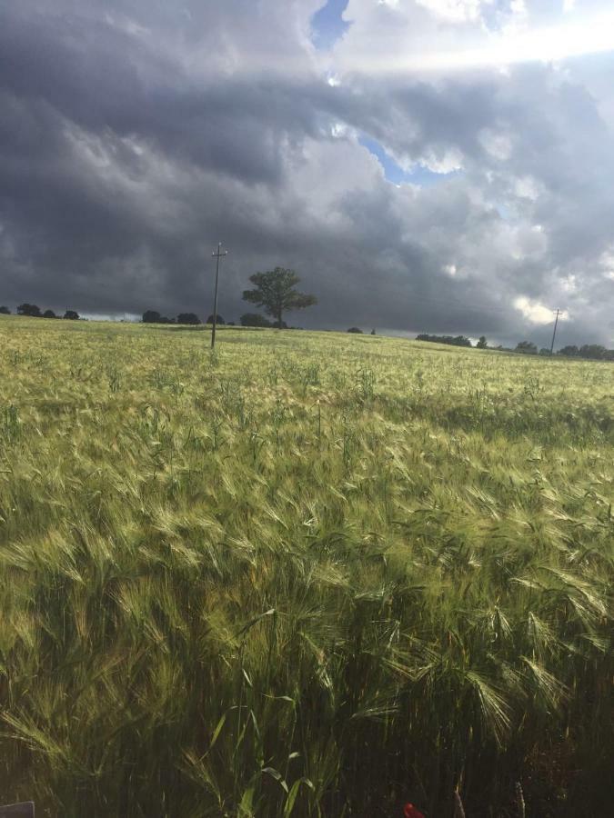 Poggio Alla Pietra 26 Porrona Exteriör bild