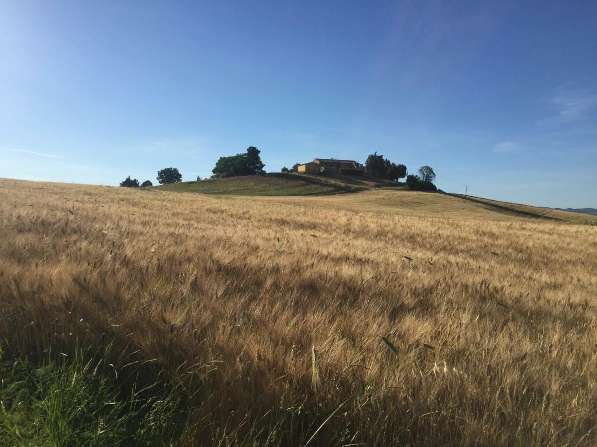 Poggio Alla Pietra 26 Porrona Exteriör bild
