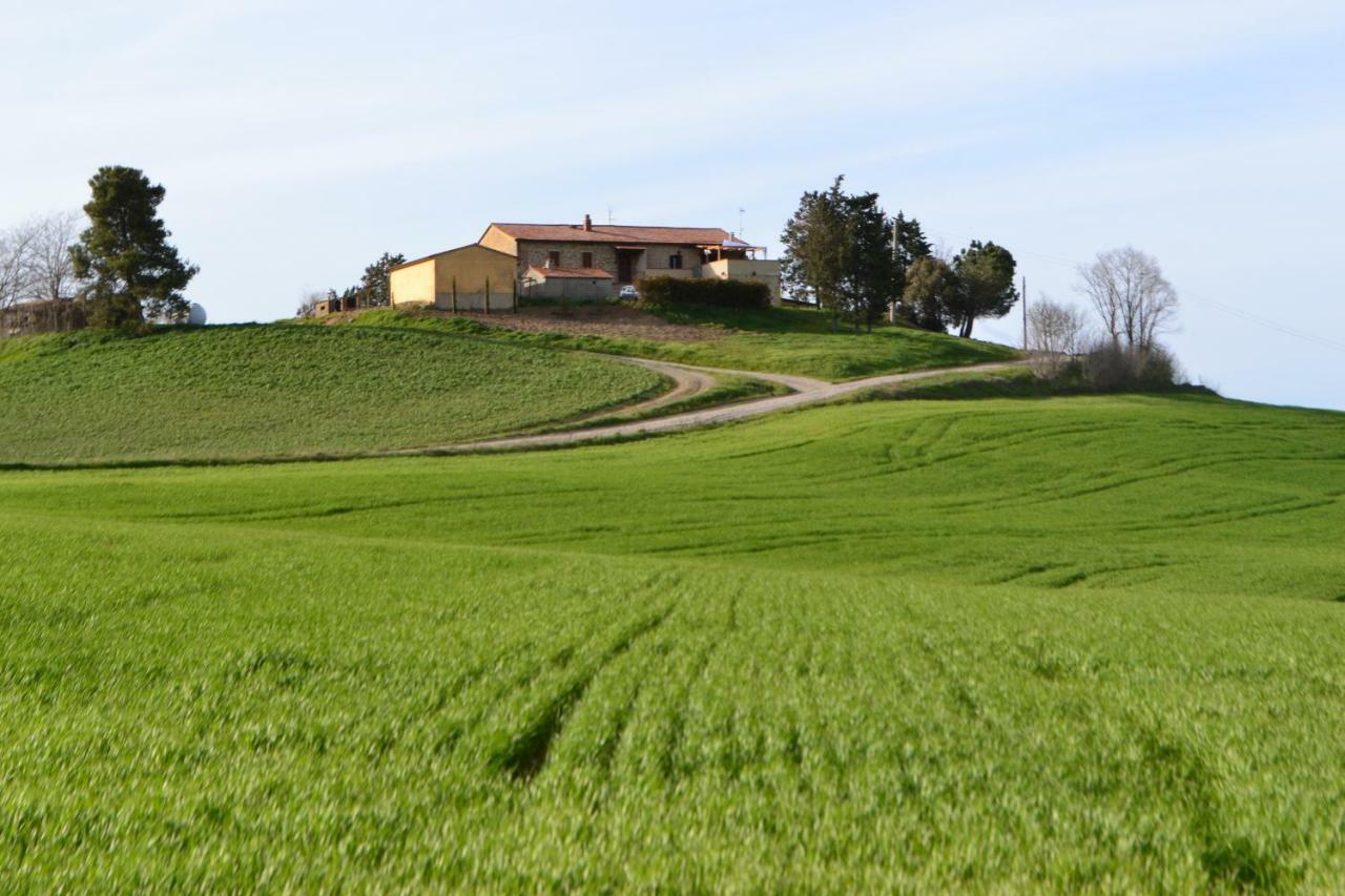 Poggio Alla Pietra 26 Porrona Exteriör bild