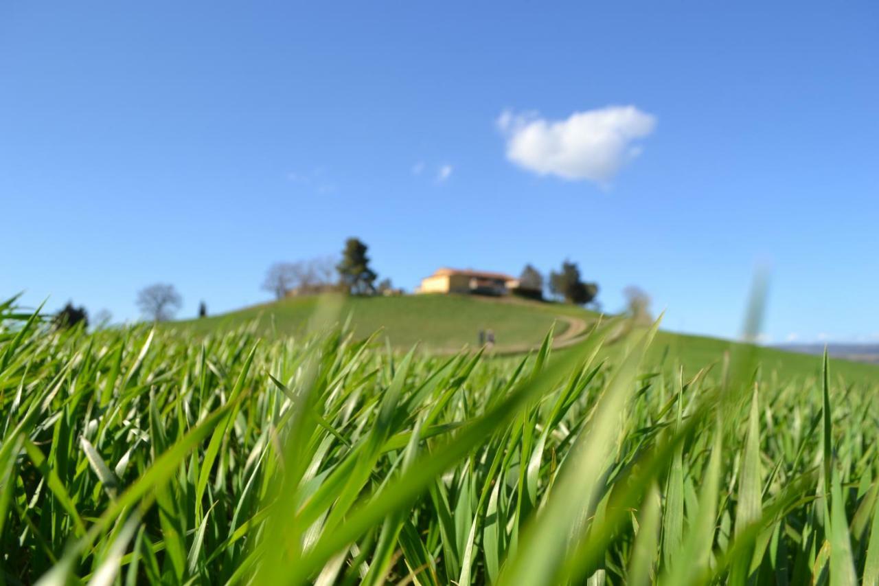 Poggio Alla Pietra 26 Porrona Exteriör bild