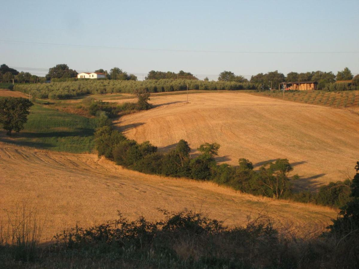 Poggio Alla Pietra 26 Porrona Exteriör bild